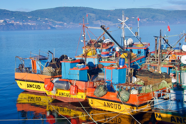 Fishing boats in the harbour, Ancud, Chiloë Island, Los Lagos, Chile. Early morning winter sun.