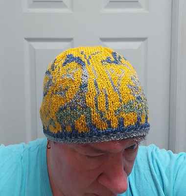 Here’s Sandi (sandima)’s test knit of the Colourwork Dinosaur Beanie by Joan Rowe released this month.