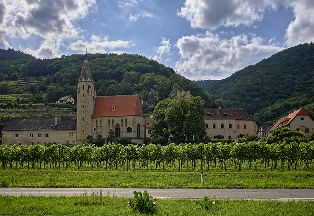Die Kirche hinter Weinstöcken