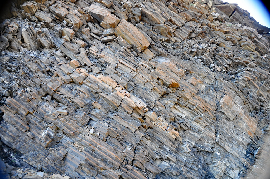 Cow Branch Formation (Upper Triassic; Pit B of Solite Quarry, near Eden, North Carolina, USA) 43