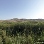 P1640838