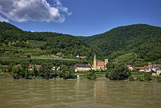 Das Donauufer bei Schwallenbach