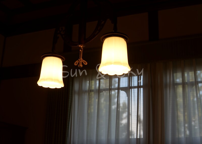 Nara Hotel light
