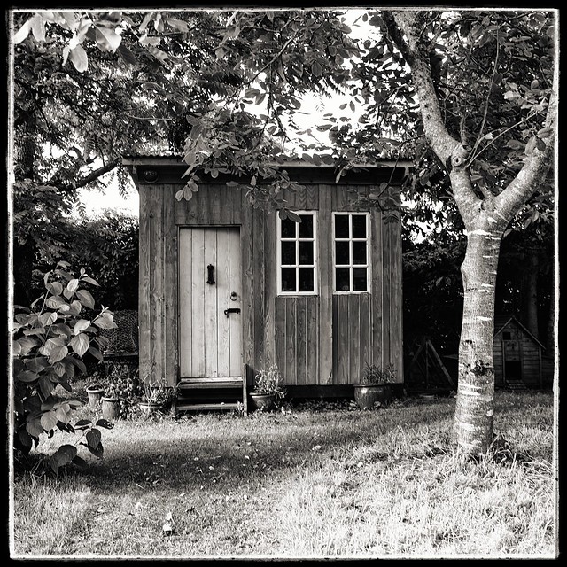 The Woman Shed