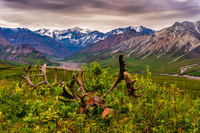 View from Eielson Visitor Center