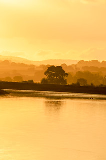 River Exe Sunset