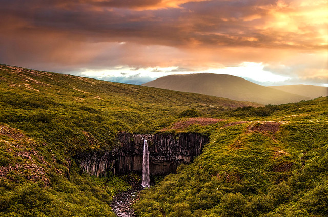 Svartifoss waterfall (Iceland)
