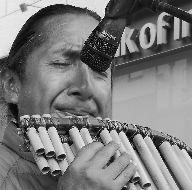 Street Performer Playing Pan Flutes