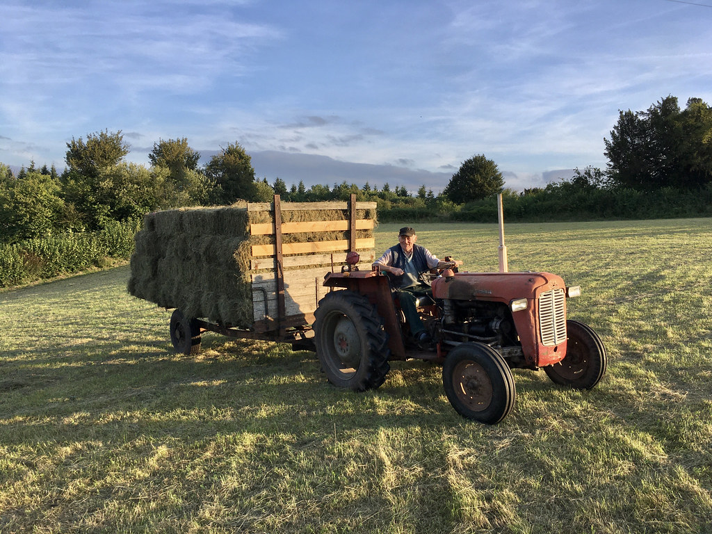 A photo of a farmer sitting on his old red tractor, pulling a trailer piled with hay bales across a field