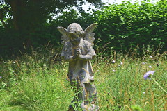 churchyard angel