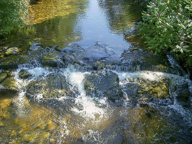 Bavarian Mountain Stream