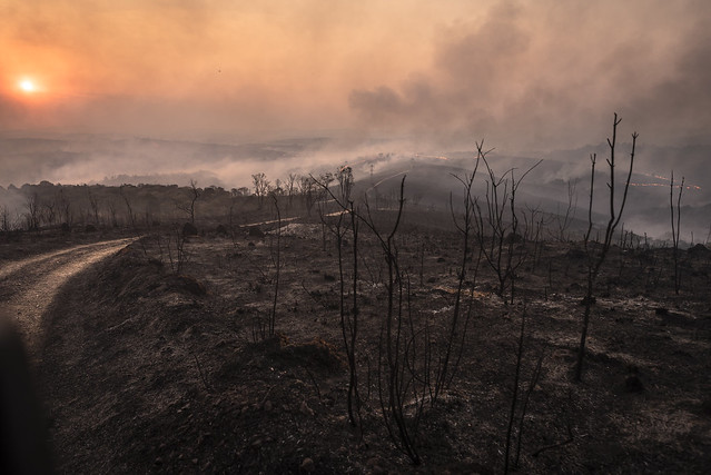 Brazil Environment: Juquery in Flames