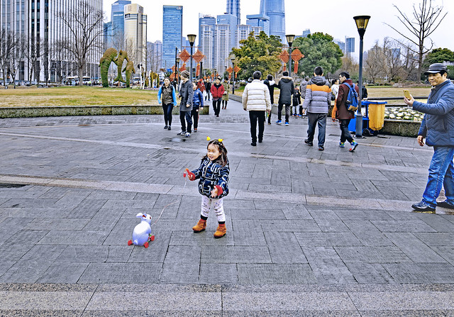 China. February 2017. Shanghai. Little girl pulling her white rabbit.