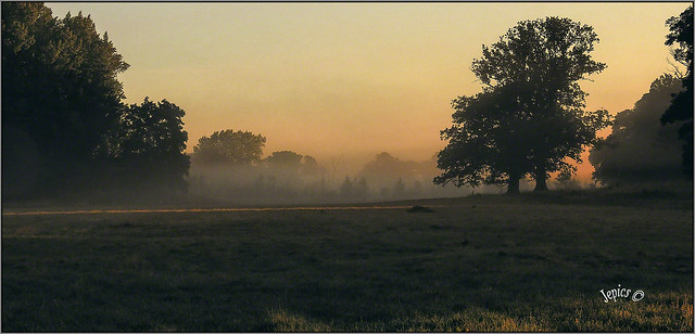 The Mist Of A Summer Morning.