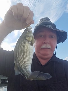 Photo of a man in a hat holding a white perch