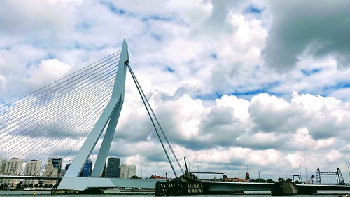 Broek boven Rotterdam - willem haring