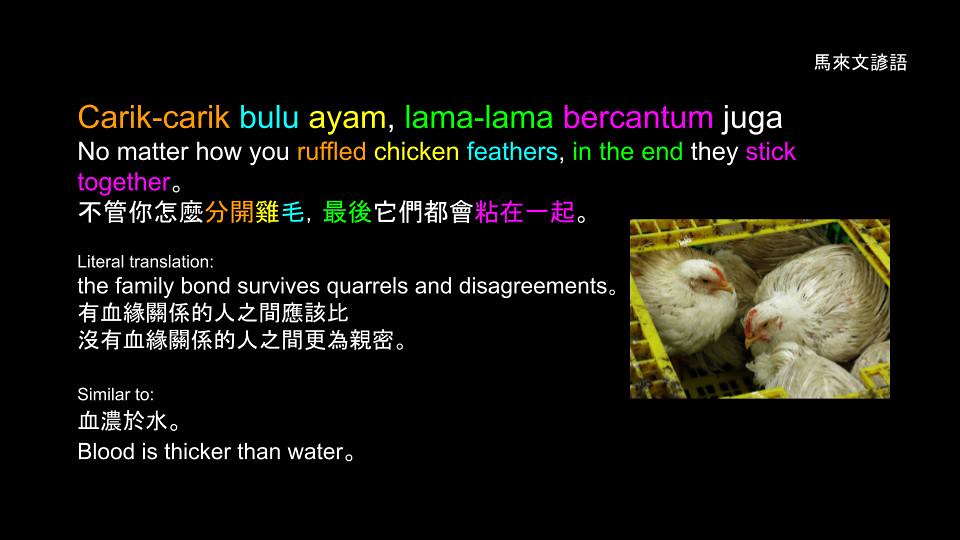 馬來文諺語 Malay Proverbs: Carik-carik bulu ayam, lama-lama bercantum juga