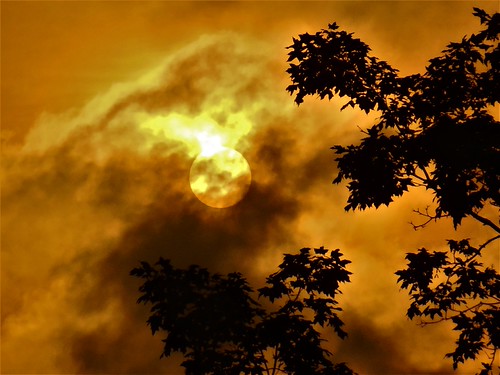 DSCN9980 by tombrewster6154, D-Day (June 6) sunrise in Greensboro, North Carolina, in 2019. 