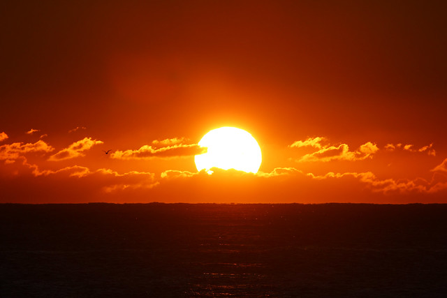Sunrise at Wollongong's South Beach