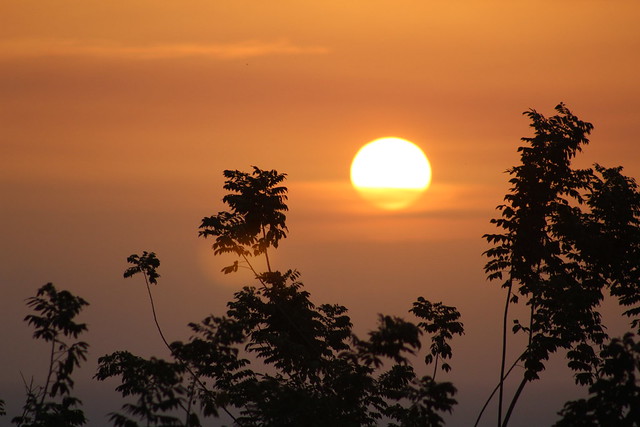 Honduran Sunset