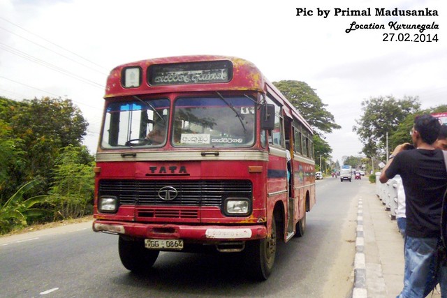 GG-0864 Kurunegala South Depot Tata - LP 1510/36 D type Bus at Kurunegala in 27.02.2014