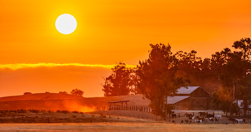 Smoky Sunset by pendeho, San Benito County Rural Scenery.sanbenitocounty renerodriguezphotography sunset ranch farm orange ba