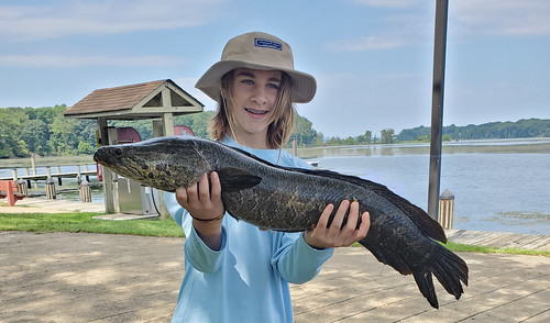 Photo of youth near a lake holding a northern snakehead fish