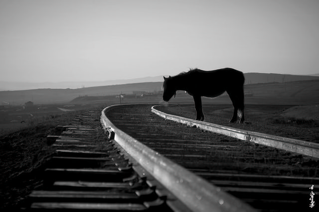 abandoned railway ...
