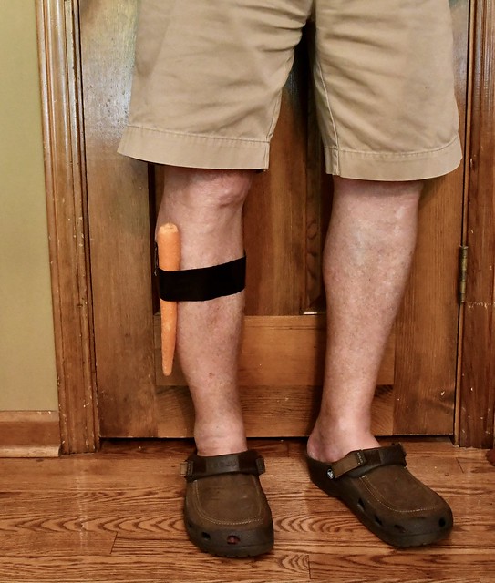 Duct Tape Really Comes in Handy When One Needs to Tape a Carrot to One's Leg