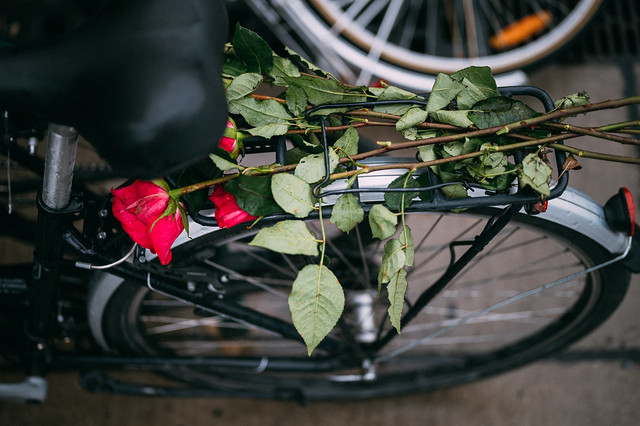 Red roses on the rear rack of a bicycle