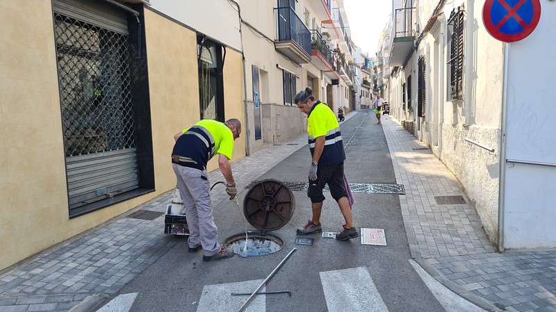 El Ayuntamiento de Sitges realiza hoy y mañana trabajos de desinsectación del alcantarillado para evitar la proliferación de las cucarachas