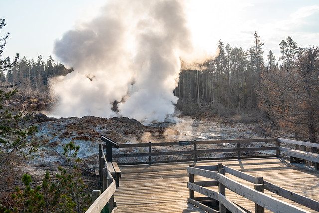 The famous Steamboat Geyser in Norris Geyser Basin in Yellowstone National Park