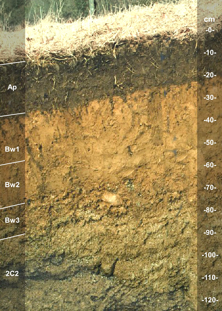 Narragansett soil series