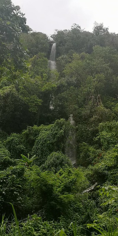 IMG-20200206-WA0064