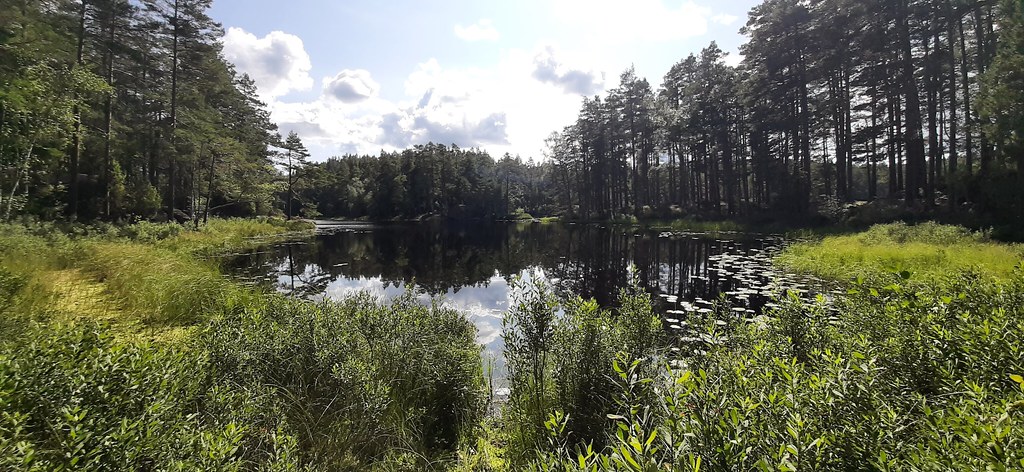 Tiveden National Park, Sweden, August 2021
