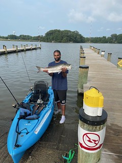 Photo of a man at a pier next to a kayak, holding a striped bass