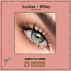 Tville - Wifey Lashes for Lelutka