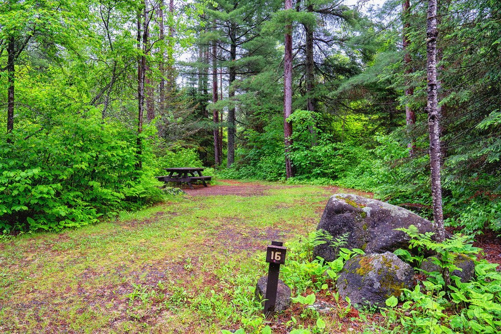 Mcdougal Lake Cg