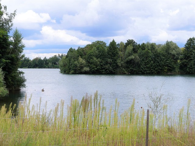 Niedernberger See