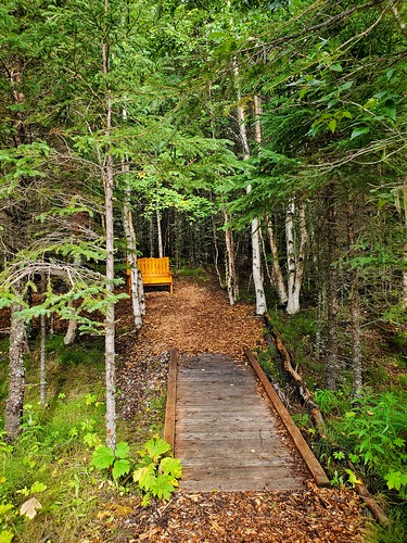 alaska hiking path eagleriver nature landscape