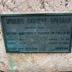 World's Largest Buffalo Erected 1959 By City of Jamestown &amp;amp; Chamber of Commerce.
Length 46 feet
Height 26 feet
Width 14 feet
Weight 60 tons
Sculptor: Elmer Paul Petersen
@ Jamestown, North Dakota