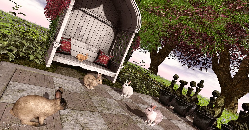 #514 Relaxing with fluffy rabbits <3