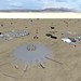 Burning Man 2021 in AltspaceVR