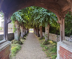 lime avenue to the church