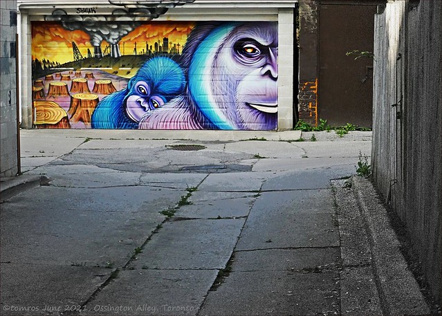 Not just a cute picture. 'Shalak Attack' in Ossington Alley.
