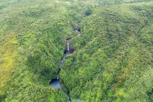 Above the Rainforest, Maui, Hawaii