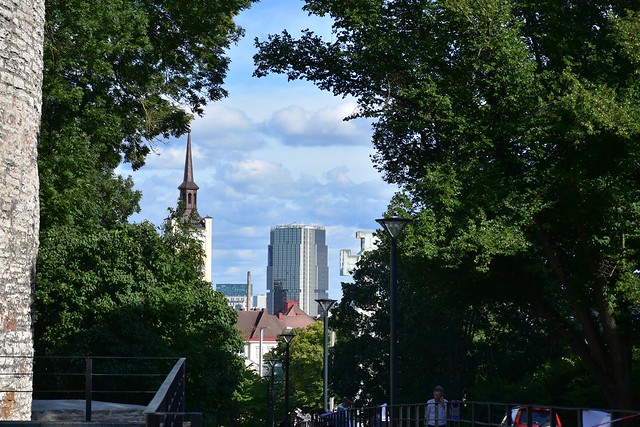 Igihaljad Tallinna vaated