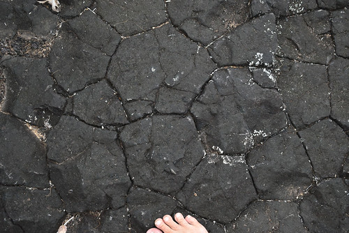 Basalt, Millstream Falls, near Ravenshoe, QLD, 10/08/21 | by Russell Cumming