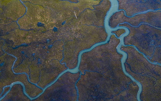 wetland fissures