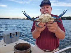 Photo of man on a boat holding a large blue crab